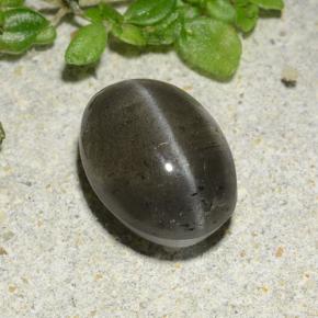 2.3ct Oval Cabochon Black Cat's Eye Scapolite for sale thumb image of 2.3ct Oval Cabochon Black Cat's Eye Scapolite (ID: 485030)
