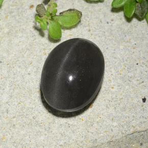 Black Cat's Eye Scapolite Gem - 2.5ct Oval Cabochon (ID: 485036)