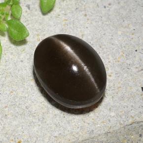 2.8ct Oval Cabochon Brown Cat's Eye Scapolite Gem for sale 2.8ct Oval Cabochon Brown Cat's Eye Scapolite Gem (ID: 485038)