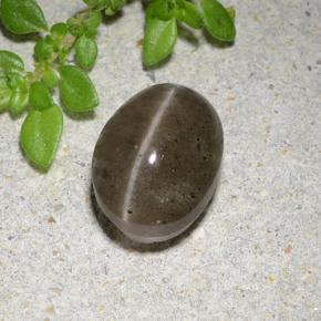 Medium Brown Scapolite effetto occhio di gatto Gem - 2.6ct Ovale cabochon (ID: 485040)