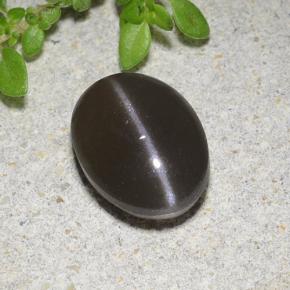 2.1ct Oval Cabochon Black Cat's Eye Scapolite for sale thumb image of 2.1ct Oval Cabochon Black Cat's Eye Scapolite (ID: 485041)