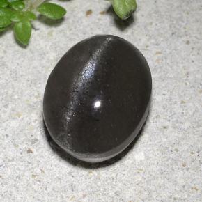 Nero Scapolite effetto occhio di gatto Gem - 2.9ct Ovale cabochon (ID: 485046)