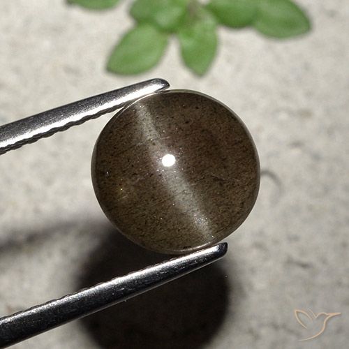 8,5 mm 毫米马达加斯加圆形棕色猫眼方柱石,重 2,28 克拉,天然宝石,半透明净度,1 颗猫眼方柱石 - 颜色:中褐色,莫氏硬度为 5,5 - 6, Photo A