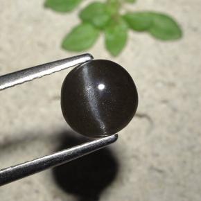 1.4ct Round Cabochon Black Cat's Eye Scapolite Gem for sale 1.4ct Round Cabochon Black Cat's Eye Scapolite Gem (ID: 495222)