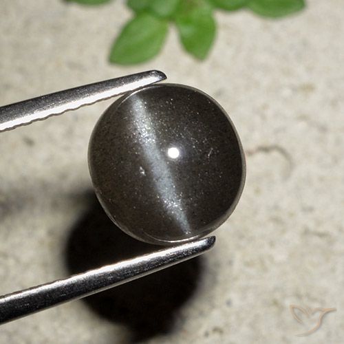 Scapolite Oeil de Chat Rond 2,54 ct, 8,3 mm de Madagascar, Photo A
