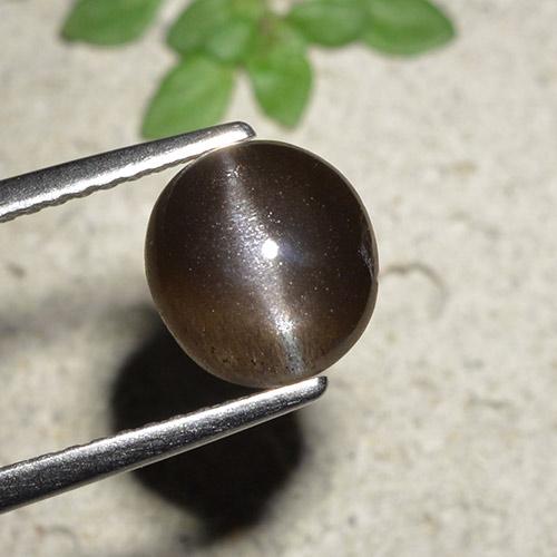 Oeil de chat Scapolite Tour en damier des États-Unis 2,3 ct, dimension 7,8mm, pureté Translucide, pierre gemme naturelle Non traité, 1 pièce Oeil de chat Scapolite de couleur Brun chocolat , dureté Mohs de 5.5 à 6, Photo A