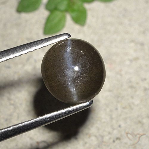 来自马达加斯加 1,93 克拉圆形中浅棕色猫眼方柱石,尺寸 7,7 mm 毫米,天然宝石,半透明 净度,1 圆形凸面型猫眼方柱石,莫氏硬度为 5,5 - 6, Photo A