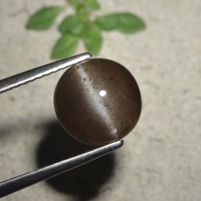 Braun Skapolith Katzenauge Edelstein - 2.8ct Rund Cabochon (ID: 495233)