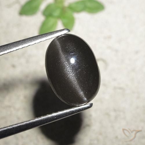 3.2 ct Oval Cat's Eye Scapolite, 10.6 x 7.5 mm From Madagascar, Photo A