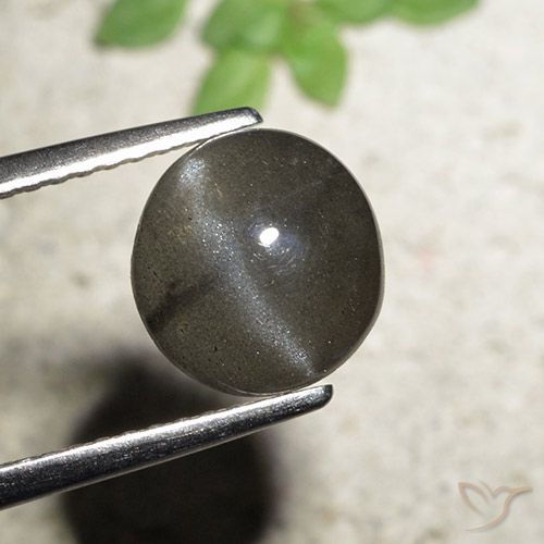 Scapolite Oeil de Chat Rond 1,97 ct, 8,4 mm de Madagascar, Photo A