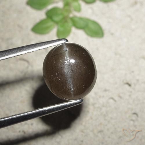 2.56 ct Round Cat's Eye Scapolite, 8.4 mm From Madagascar, Photo A