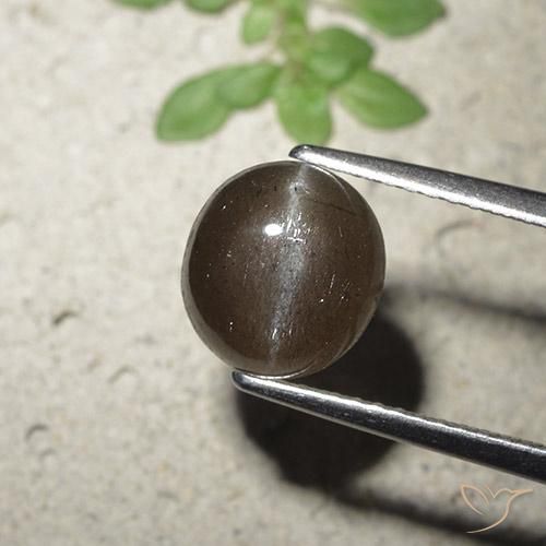 2.56 ct Brown Cat's Eye Scapolite Stone, Natural Cat's Eye Scapolite in Round Cabochon Shape for Sale