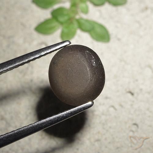 Cat's Eye Scapolite Gemstone in 8.5 mm (calibrated) Size for Sale, Cat's Eye Scapolite Stone in Medium Brown Color