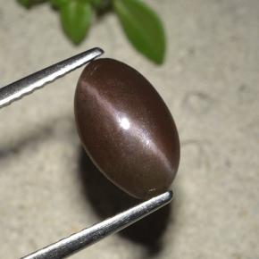 Medium Brown Skapolith Katzenauge Edelstein - 2.2ct Oval Cabochon (ID: 495245)