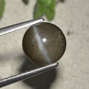 Grayish Black 猫眼方柱石 Gem - 1.9ct 圆形凸面型 (ID: 495249)