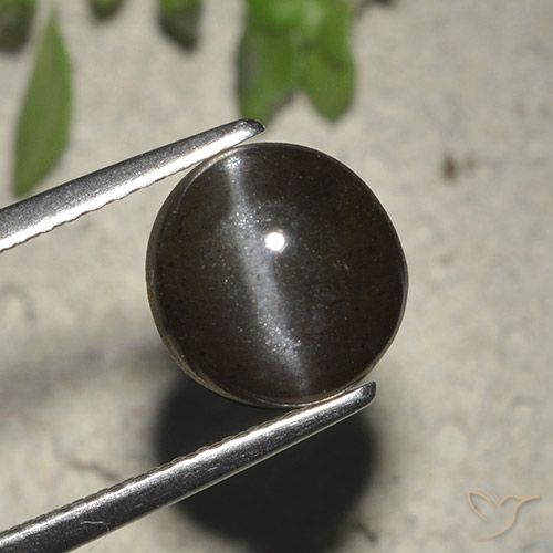 Oeil de chat Scapolite Noire round cabochon 8,2mm de Madagascar, poids de 2,72 ct, pierre gemme naturelle Non traité de pureté Translucide, 1 pièce Oeil de chat Scapolite, couleur : Noire, dureté de Mohs de 5.5 à 6, Photo A