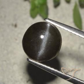 2.72 ct Black Cat's Eye Scapolite Stone, Natural Cat's Eye Scapolite in Round Cabochon Shape for Sale