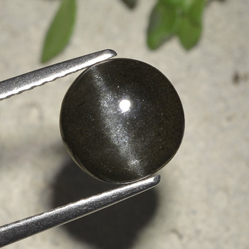 Black Cat's Eye Scapolite Gem - 3.3ct Round Cabochon (ID: 495252)