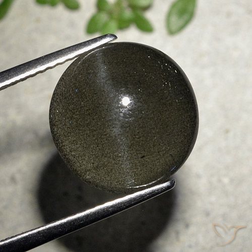 6.5 ct Round Cat's Eye Scapolite, 12.2 mm From Madagascar, Photo A