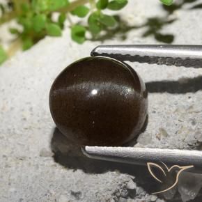 3.08 ct Brown Cat's Eye Scapolite Stone, Natural Cat's Eye Scapolite in Round Cabochon Shape for Sale