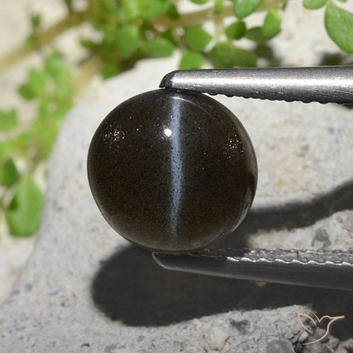 2.6 ct Round Cat's Eye Scapolite, 8.5 mm From Madagascar, Photo A