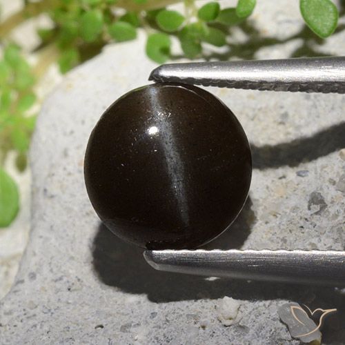 来自马达加斯加 2,55 克拉圆形黑色猫眼方柱石,尺寸 8,9 mm 毫米,天然宝石,半透明 净度,1 圆形凸面型猫眼方柱石,莫氏硬度为 5,5 - 6, Photo A