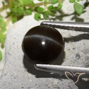 2.55 ct Black Cat's Eye Scapolite Stone, Natural Cat's Eye Scapolite in Round Cabochon Shape for Sale