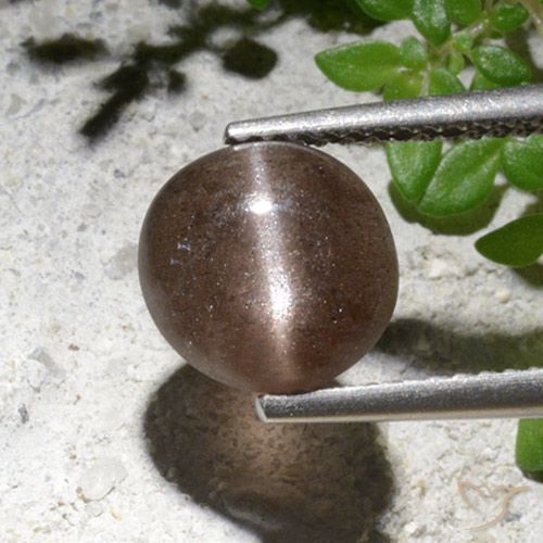 来自马达加斯加 2,76 克拉圆形棕色猫眼方柱石,尺寸 8,8 mm 毫米,天然宝石,半透明 净度,1 圆形凸面型猫眼方柱石,莫氏硬度为 5,5 - 6, Photo A