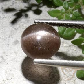 2.76 ct Brown Cat's Eye Scapolite Stone, Natural Cat's Eye Scapolite in Round Cabochon Shape for Sale