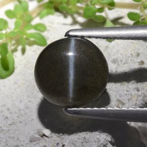 Black Cat's Eye Scapolite Gem - 2.7ct Round Cabochon (ID: 497305)