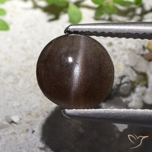 1.82 ct Round Cat's Eye Scapolite, 8.7 mm From Madagascar, Photo A