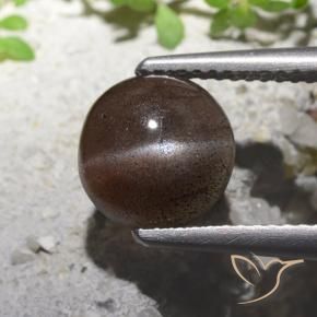 1.82 ct Brown Cat's Eye Scapolite Stone, Natural Cat's Eye Scapolite in Round Cabochon Shape for Sale