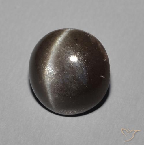 2.28 ct Black Cat's Eye Scapolite Stone, Natural Cat's Eye Scapolite in Round Cabochon Shape for Sale