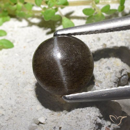 2.16 ct Round Cat's Eye Scapolite, 8.4 mm From Madagascar, Photo A