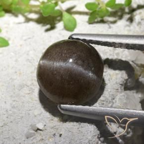 2.16 ct Brown Cat's Eye Scapolite Stone, Natural Cat's Eye Scapolite in Round Cabochon Shape for Sale
