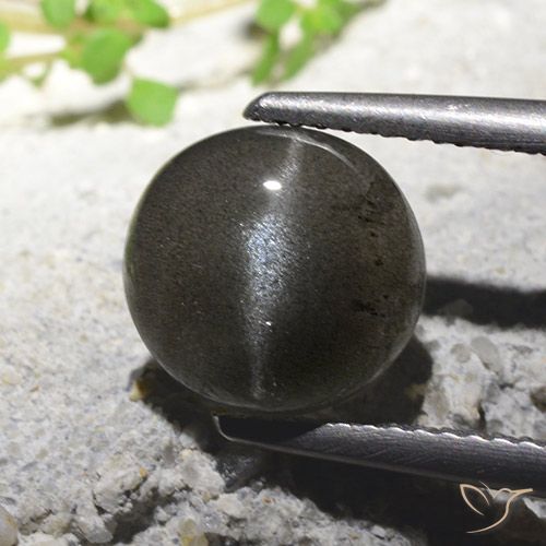 2.71 ct Round Cat's Eye Scapolite, 9.4 mm From Madagascar, Photo A