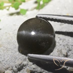 2.71 ct Black Cat's Eye Scapolite Stone, Natural Cat's Eye Scapolite in Round Cabochon Shape for Sale