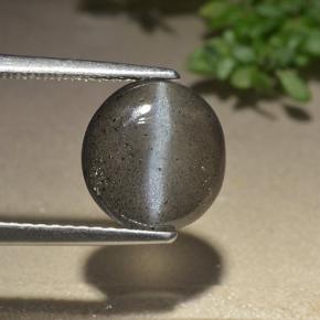 Medium Grey Скаполит Кошачий Глаз Камень - 2.5ct Овал Кабошон (ID: 497465)