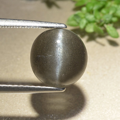 9mm grauer Skapolith Katzenauge im Rund Cabochon aus Madagaskar, Gewicht 3,84 ct, Garantiert echter Edelstein in Translucent Reinheit, 1 Stück Skapolith Katzenauge - die Farbe ist Grauschwarz, Mohs-Härte von 5,5 - 6, Photo A