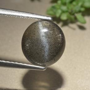 Medium-Dark Gray Cat's Eye Scapolite Gem - 3.2ct Oval Cabochon (ID: 497467)