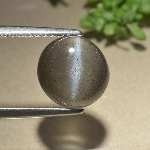 Escapolita Ojo de Gato Gris Cabujón Redondo de 8,7mm de Madagascar, peso de 2.59ct, piedra preciosa No tratado de forma natural en claridad Translúcido, Escapolita Ojo de Gato de 1 pieza: el color es Negro grisáceo, dureza Mohs de 5.5 - 6, Photo A