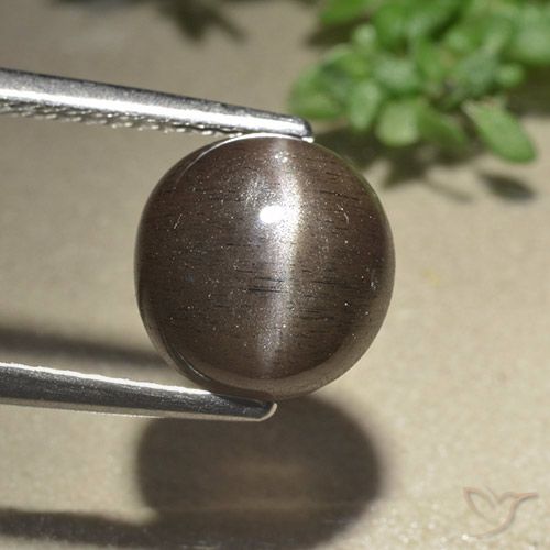 3.07 ct Round Cat's Eye Scapolite, 8.7 mm From Madagascar, Photo A