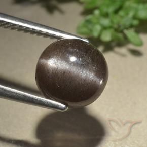 3.07 ct Brown Cat's Eye Scapolite Stone, Natural Cat's Eye Scapolite in Round Cabochon Shape for Sale