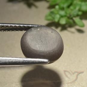 Cat's Eye Scapolite Gemstone in 8.5 mm (calibrated) Size for Sale, Cat's Eye Scapolite Stone in Umber Brown Color