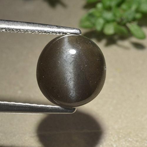 Marrón claro medio Escapolita Ojo de Gato Gema - 2.9ct Cabujón Redondo (ID: 497471)