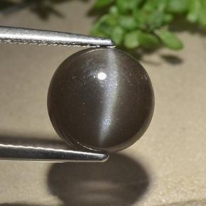 Espresso Brown Cat's Eye Scapolite Gem - 2.7ct Round Cabochon (ID: 497473)