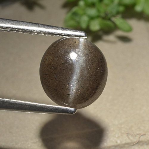 2.54 ct Oval Cat's Eye Scapolite, 8.6 x 8 mm From Madagascar, Photo A