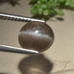 2.54 ct Brown Cat's Eye Scapolite Stone, Natural Cat's Eye Scapolite in Oval Cabochon Shape for Sale