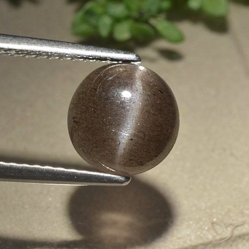 2.28 ct Round Cat's Eye Scapolite, 8.4 mm From Madagascar, Photo A