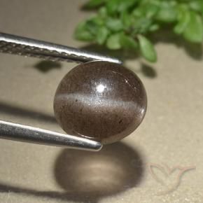 2.28 ct Brown Cat's Eye Scapolite Stone, Natural Cat's Eye Scapolite in Round Cabochon Shape for Sale